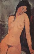 Amedeo Modigliani Nude (nn03) Germany oil painting artist